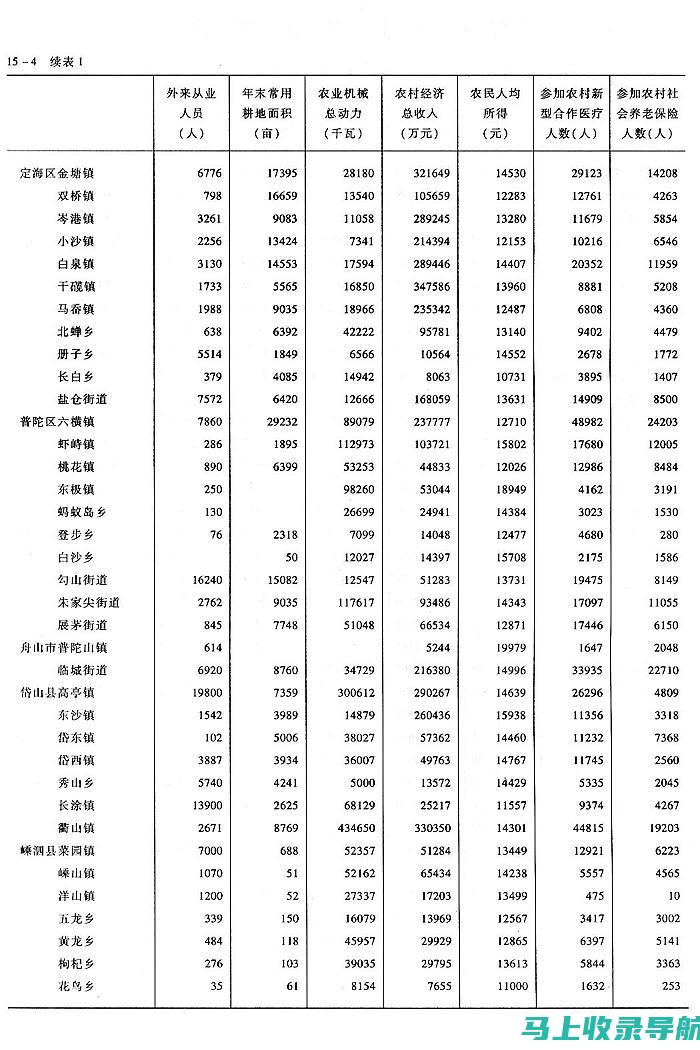 乡镇统计站站长如何推动工作效率提升